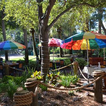 Exterior - Lazy Lobster in Longboat Key, FL Seafood Restaurants