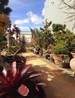 Exterior: Our Garden Center - Living Green Design in San Francisco, CA Business Services Exterior: Our Garden Center - Living Green Design in San Francisco, CA Business Services