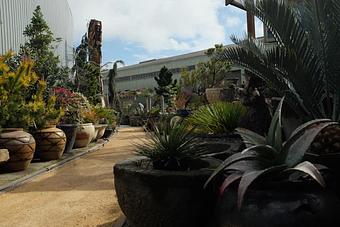 Exterior: The yellow bridge road in the garden center. - Living Green Design in San Francisco, CA Business Services Exterior: The yellow bridge road in the garden center. - Living Green Design in San Francisco, CA Business Services