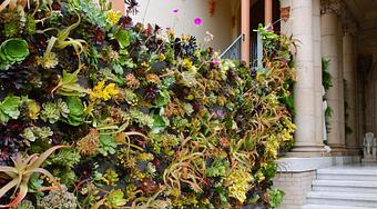 Exterior: 2012 San Francisco Decorator Showcase - Living Green Design in San Francisco, CA Business Services Exterior: 2012 San Francisco Decorator Showcase - Living Green Design in San Francisco, CA Business Services