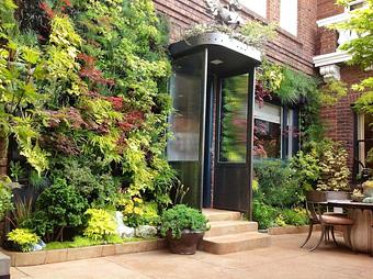 Exterior: 2013 San Francisco Decorator Showcase Courtyard - Living Green Design in San Francisco, CA Business Services Exterior: 2013 San Francisco Decorator Showcase Courtyard - Living Green Design in San Francisco, CA Business Services