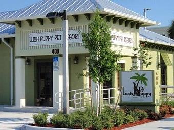 Exterior - Lush Puppy Pet Resort in Jupiter, FL Pet Boarding & Grooming