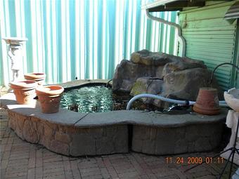 Exterior - Malakoff Nursery in Cedar Creek Lake - Malakoff, TX Nurseries & Garden Centers