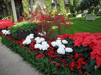 Exterior - Martin Viette Nurseries in East Norwich, NY Nurseries & Garden Centers