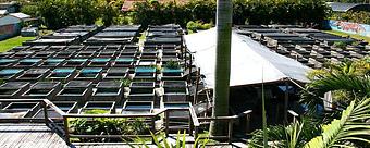 Exterior - Neighborhood Fish Farm in Westchester / Horse Country - Miami, FL Pet Care Services Exterior - Neighborhood Fish Farm in Westchester / Horse Country - Miami, FL Pet Care Services