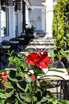 Exterior - Not Your Average Joe's in Hyannis, MA Restaurants/Food & Dining