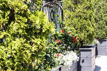 Exterior - Not Your Average Joe's in Hyannis, MA Restaurants/Food & Dining