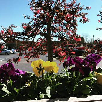 Exterior - Oakleys Bistro in Greenbriar - Indianapolis, IN American Restaurants