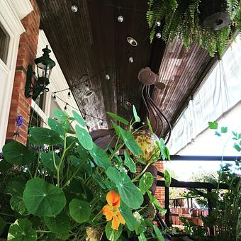 Exterior - Oakleys Bistro in Greenbriar - Indianapolis, IN American Restaurants