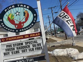 Exterior - Pine Tree Seafood & Produce in Scarborough, ME Ornamental Nursery Services
