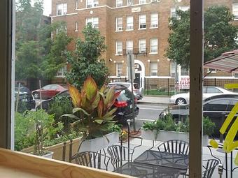 Exterior - Pizzolis Pizzeria in Logan Circle - Washington, DC Gluten Free Restaurants