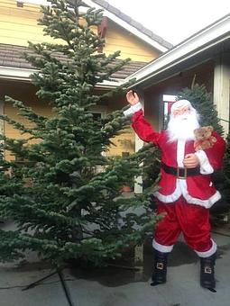 Exterior - Pompei Nursery in Oakley, CA Nurseries & Garden Centers