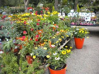 Exterior - Prickett's Nursery in Santa Rosa, CA Nurseries & Garden Centers