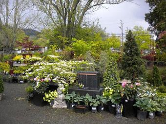 Exterior - Prickett's Nursery in Santa Rosa, CA Nurseries & Garden Centers
