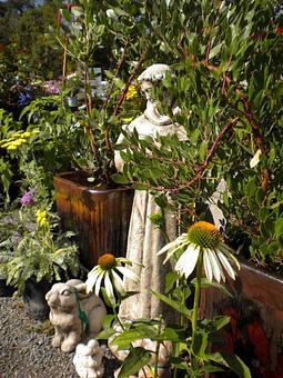 Exterior - Prickett's Nursery in Santa Rosa, CA Nurseries & Garden Centers