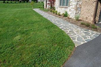 Exterior - Prolawnplus in BALTIMORE, MD Business Services