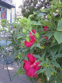 Exterior: Summer Patio Seating - Relish in Grinnell, IA American Restaurants