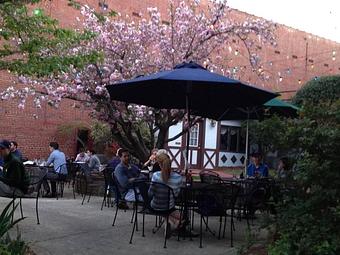 Exterior: Springtime on the patio - Sir Edmond Halley's in Myers Park - Charlotte, NC Hamburger Restaurants