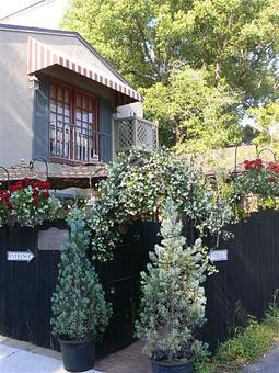 Exterior - The Goblin Market Restaurant in Mount Dora, FL American Restaurants