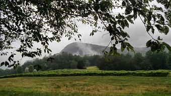 Exterior - Tiger Mountain Vineyards in Tiger, GA American Restaurants