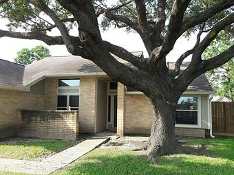 Exterior - TNT Tree Service in Kingwood, TX Ornamental Nursery Services