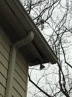 Exterior - Verminators Wildlife Evictions in Brookwood High School - Snellville, GA Business Services