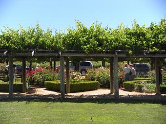 Exterior - Vineyard Visits in California Wine Country - Redondo Beach, CA Wine Manufacturers