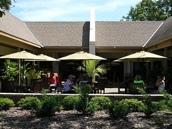 Exterior - Watusi Cafe in Hilton Head Island, SC Coffee, Espresso & Tea House Restaurants
