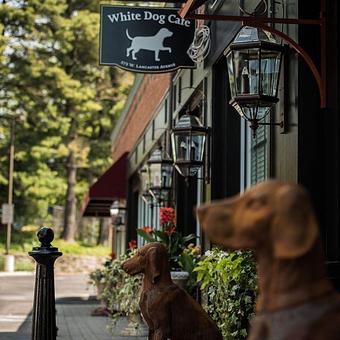 Exterior - White Dog Cafe Haverford in Haverford, PA American Restaurants