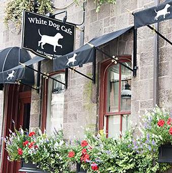 Exterior - White Dog Cafe University City in University City - PHILADELPHIA, PA American Restaurants