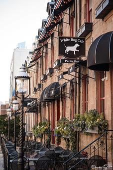 Exterior - White Dog Cafe University City in University City - PHILADELPHIA, PA American Restaurants