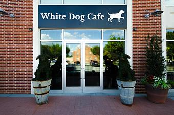 Exterior - White Dog Cafe Wayne in Wayne, PA American Restaurants