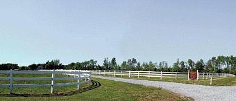 Exterior - Wingmont Stables & Kennels in Aylett, VA Pet Care Services