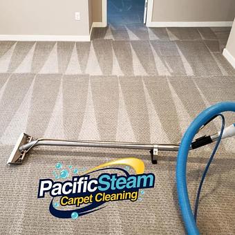 Product - Pacific Steam Carpet Cleaning in Hawthorne - Portland, OR Carpet Rug & Upholstery Cleaners