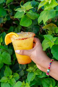 Product: Milagro Plata Tequila, Kumquat Fresca, pineapple, lime, tajin rim. - Red Mesa Mercado in St. Petersburg, FL Mexican Restaurants