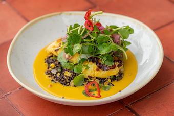 Product: Chipotle butternut squash puree, green coconut rice, green apple fennel slaw. (MGF) - Red Mesa Restaurant in St Petersburg, FL Mexican Restaurants