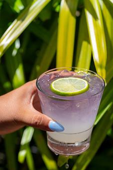 Product: Empress Gin, creme de menthe, orange bitters, lime. - Red Mesa Restaurant in St Petersburg, FL Mexican Restaurants