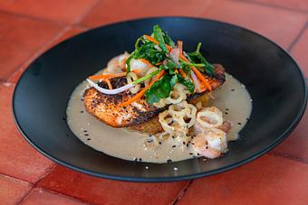 Product: Ancho chile dusted salmon, calamari, bay shrimp, chile güero-coconut mole, fried yuca cake, watercress salad. - Red Mesa Restaurant in St Petersburg, FL Mexican Restaurants
