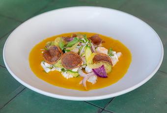 Product: Bay shrimp, grouper, calamari, watermelon radish, persian cucumbers, pickled chile güero, red onion, cilantro, ají amarillo mojo. (MGF) - Red Mesa Restaurant in St Petersburg, FL Mexican Restaurants