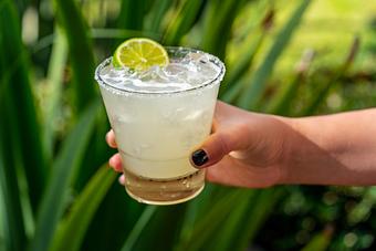 Product: Lime, agave. Your choice of Tequila or Mezcal. - Red Mesa Restaurant in St Petersburg, FL Mexican Restaurants