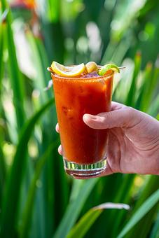 Product - Red Mesa Restaurant in St Petersburg, FL Mexican Restaurants