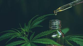 Product: CBD Oil - Somatic Massage Therapy, P.C in Floral Park - Floral Park, NY Massage Therapy