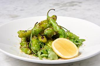 Product - Summer House Santa Monica in Lincoln Park - Chicago, IL American Restaurants