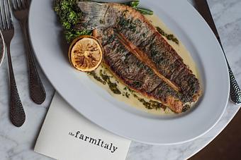 Product - The Farm Italy Restaurant & Bar in Huntington Village NY - Huntington, NY Italian Restaurants