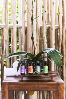 Product - The Palms AVEDA Spa in Miami Beach - Miami Beach, FL Beauty Salons Product - The Palms AVEDA Spa in Miami Beach - Miami Beach, FL Beauty Salons