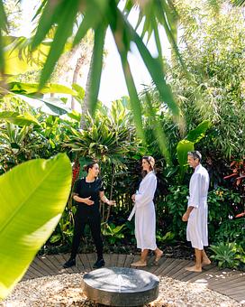 Product - The Palms AVEDA Spa in Miami Beach - Miami Beach, FL Beauty Salons