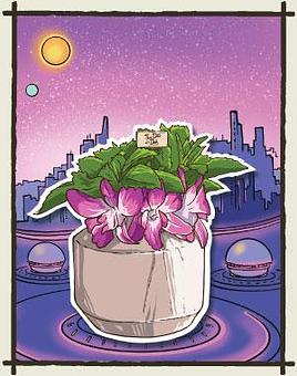 Product - Three Dots and A Dash in River North - Chicago, IL Bars & Grills