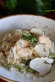 Product - Wahoo! Grill in Decatur / Oakhurst / Atlanta - Decatur, GA Seafood Restaurants