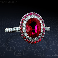 Photos Uploaded - Leon Mege, - Photo (19191)