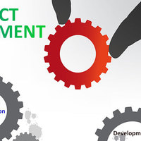 Photos Uploaded - Shaligram Infotech | Software Product Development Company USA - Photo (21549)